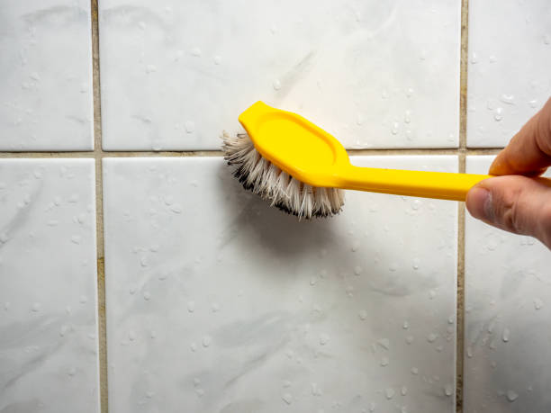 Best Fast Mold Removal  in Graham, NC