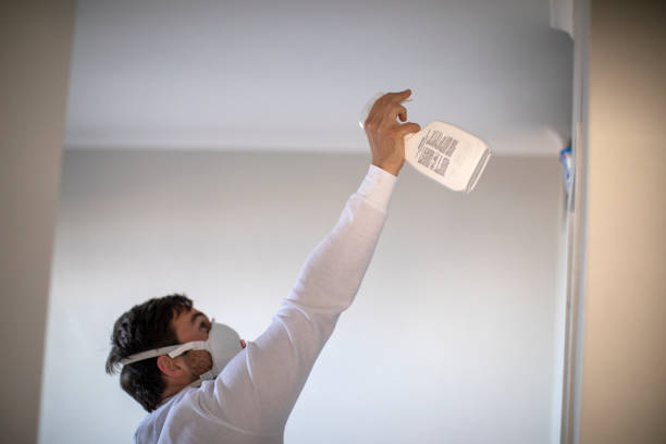 Best Mold Damage Repair  in Graham, NC