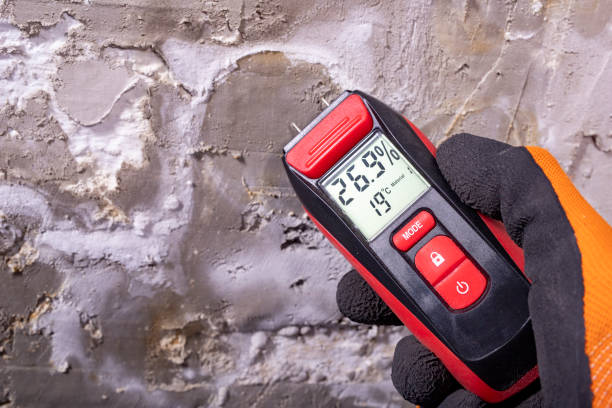 Graham, NC Mold Removal Company