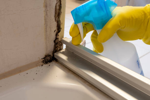 Best Crawl Space Mold Removal  in Graham, NC