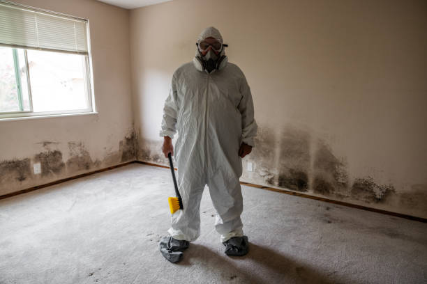 Best Certified Mold Removal  in Graham, NC